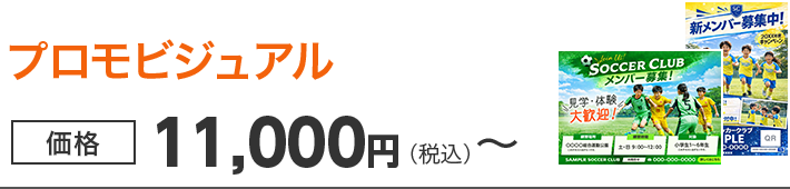 プロモビジュアル[価格] 11,000円（税込）～
